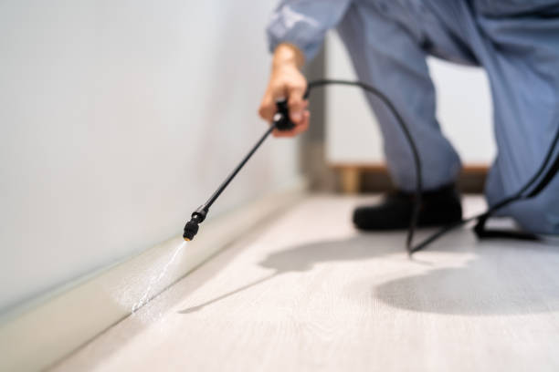Licensed Mosquito Control service in Burwell, NE - Show Me Pest Control