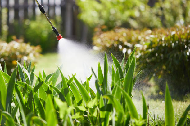 24/7 Emergency Mosquito Control experts in Burwell, NE